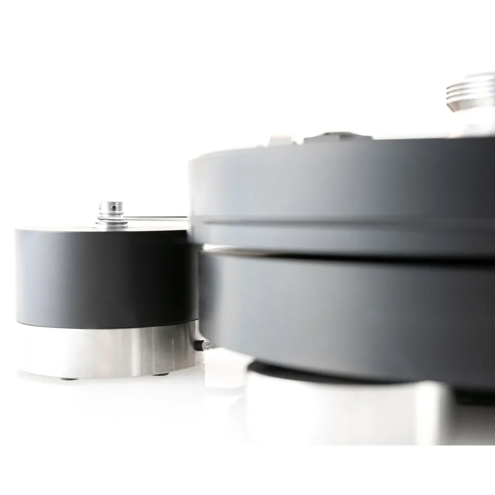 Transrotor MAX NERO Rega RB 220 Uccello