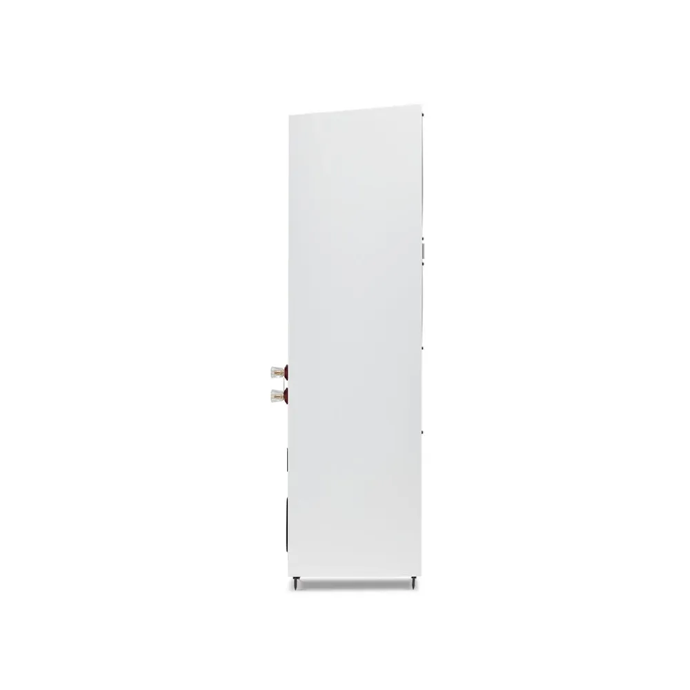 Martin Logan Motion 20i Matte White