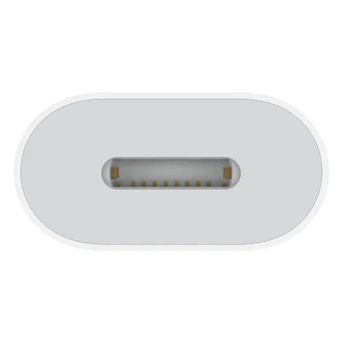 Apple USB-C to Lightning Adapter
