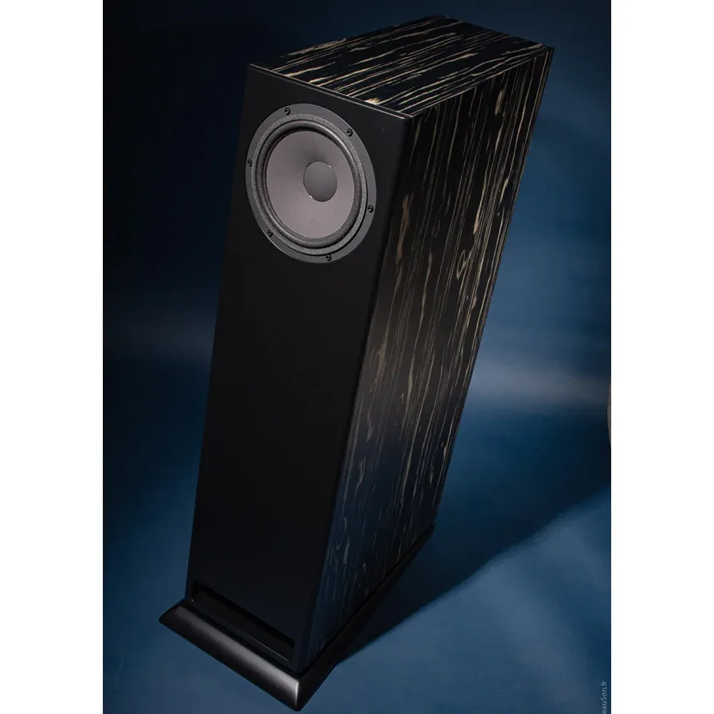 Davis Acoustics MV One Master Ebony