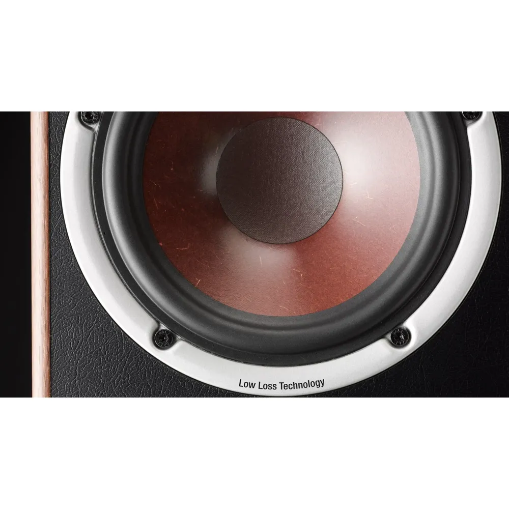 Dali Spektor Vokal white