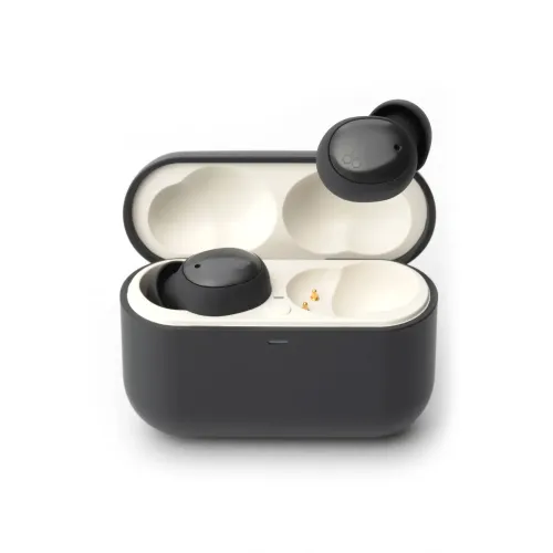 Final Audio ZE500 for ASMR Dark Gray