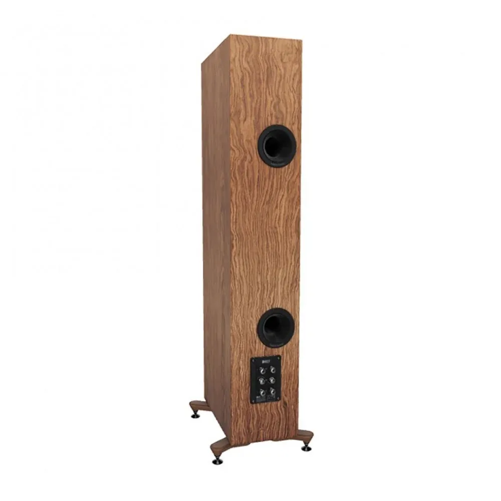 KEF R5 Meta Walnut