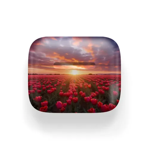Apple AirPods 3 Tulip Fields