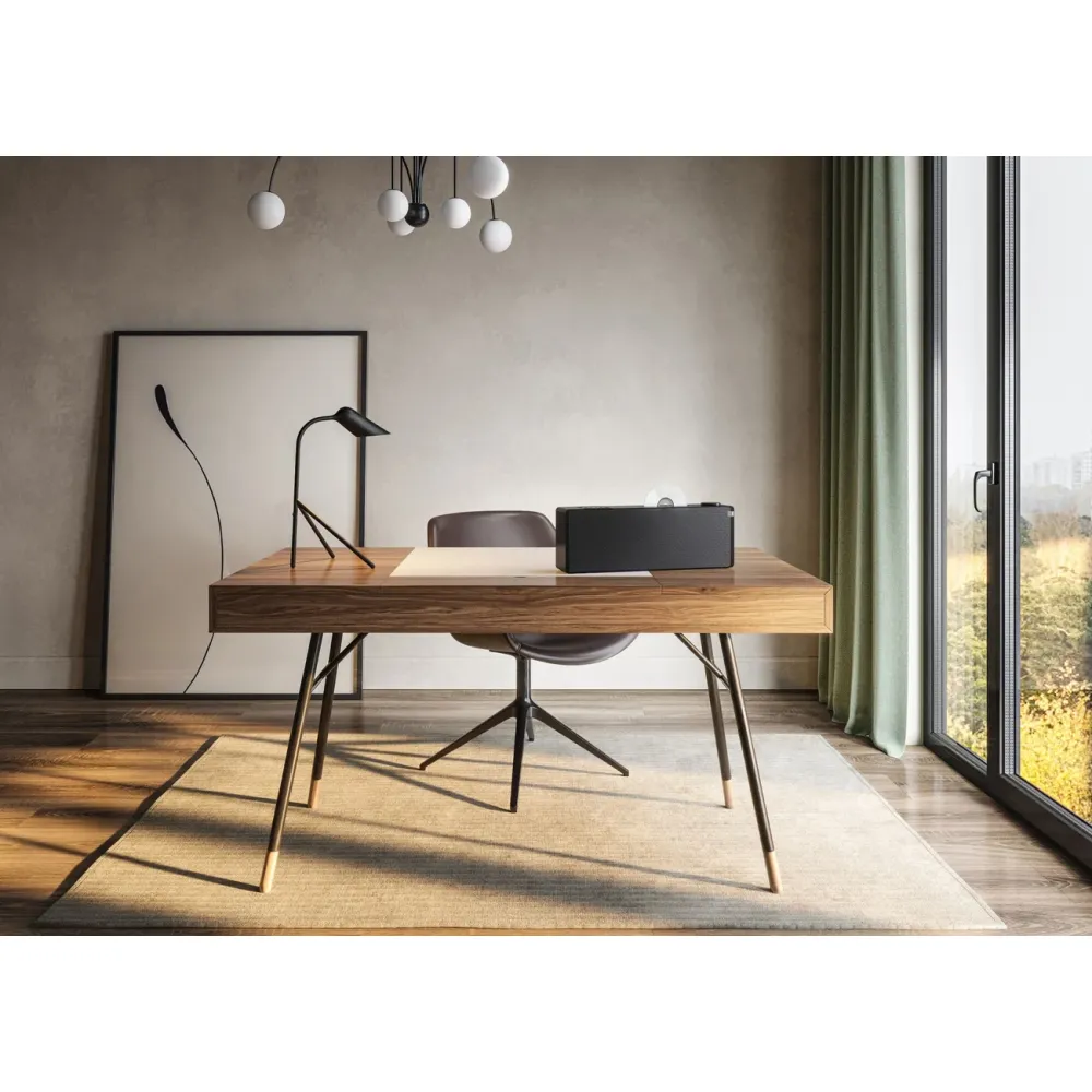 Loewe klang s1 Basalt Grey