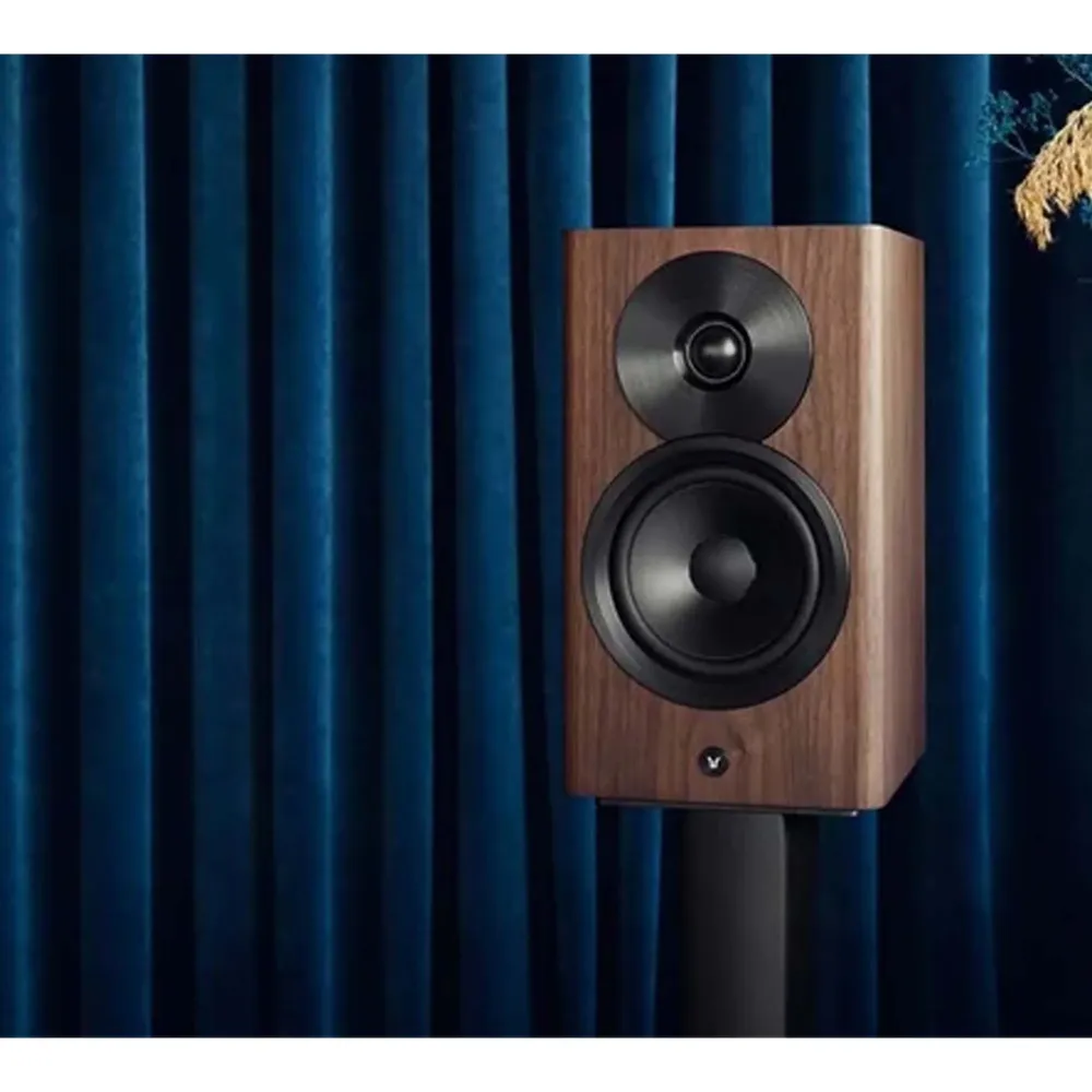 Dynaudio Focus 10 Walnut Wood