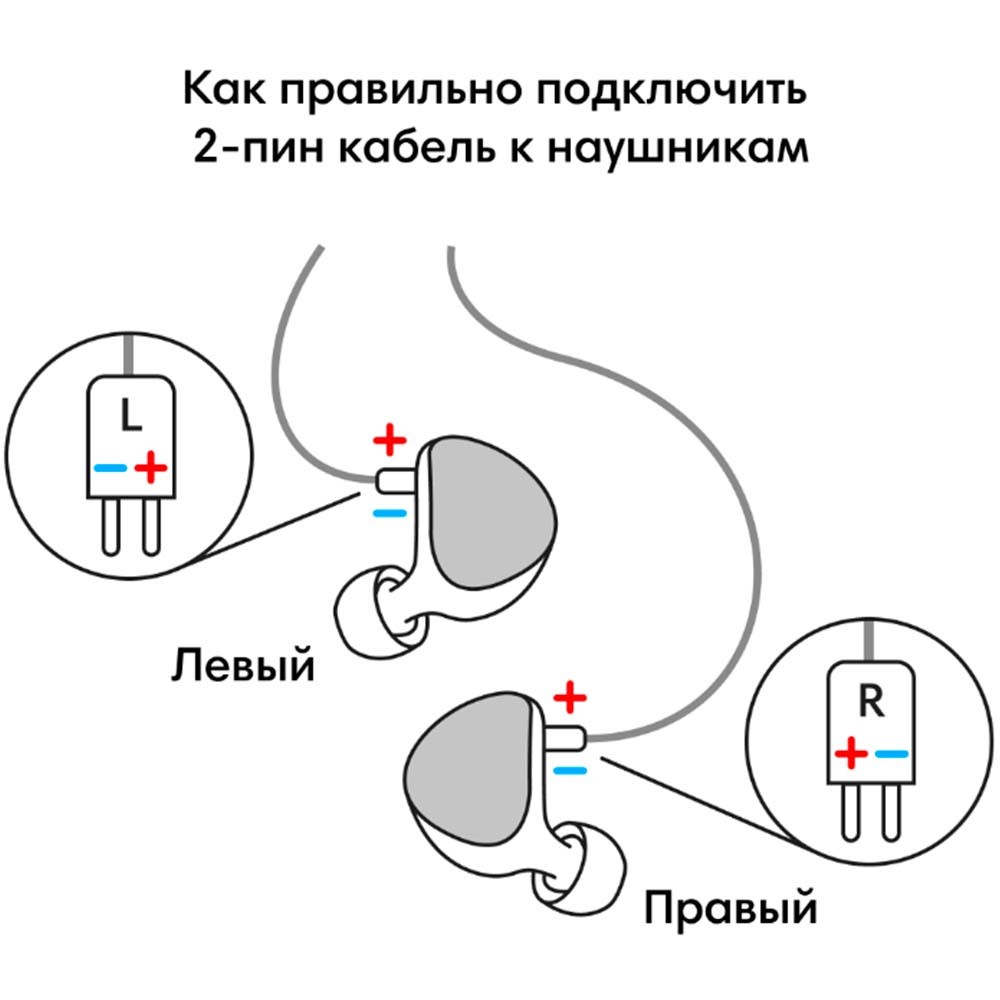 Aurian Jungle Universal