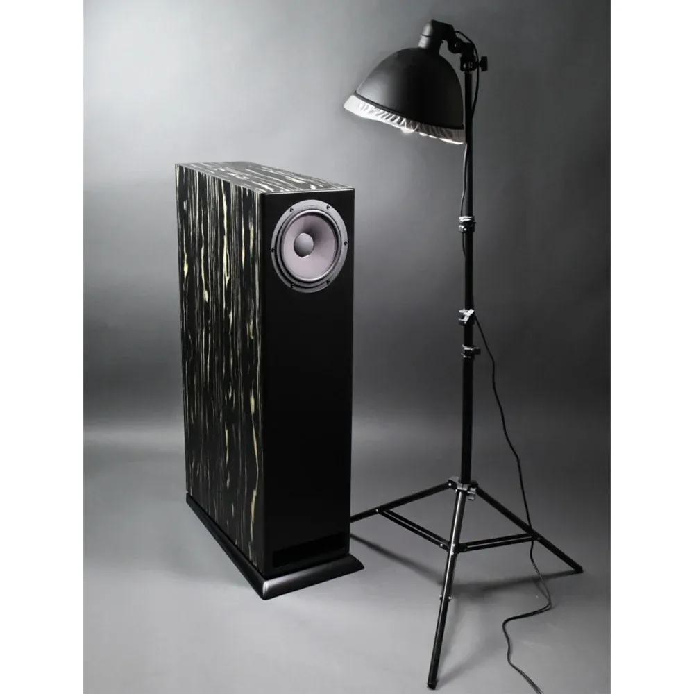 Davis Acoustics MV One Master Ebony