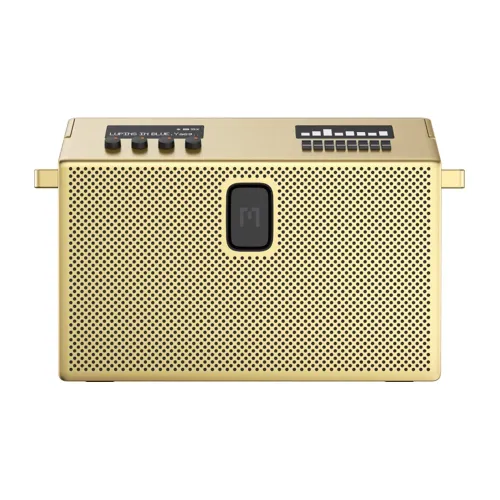 Defunc Mondo BT Speaker Large Gold