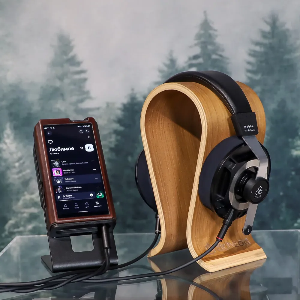 Final Audio D8000 Pro Edition Black