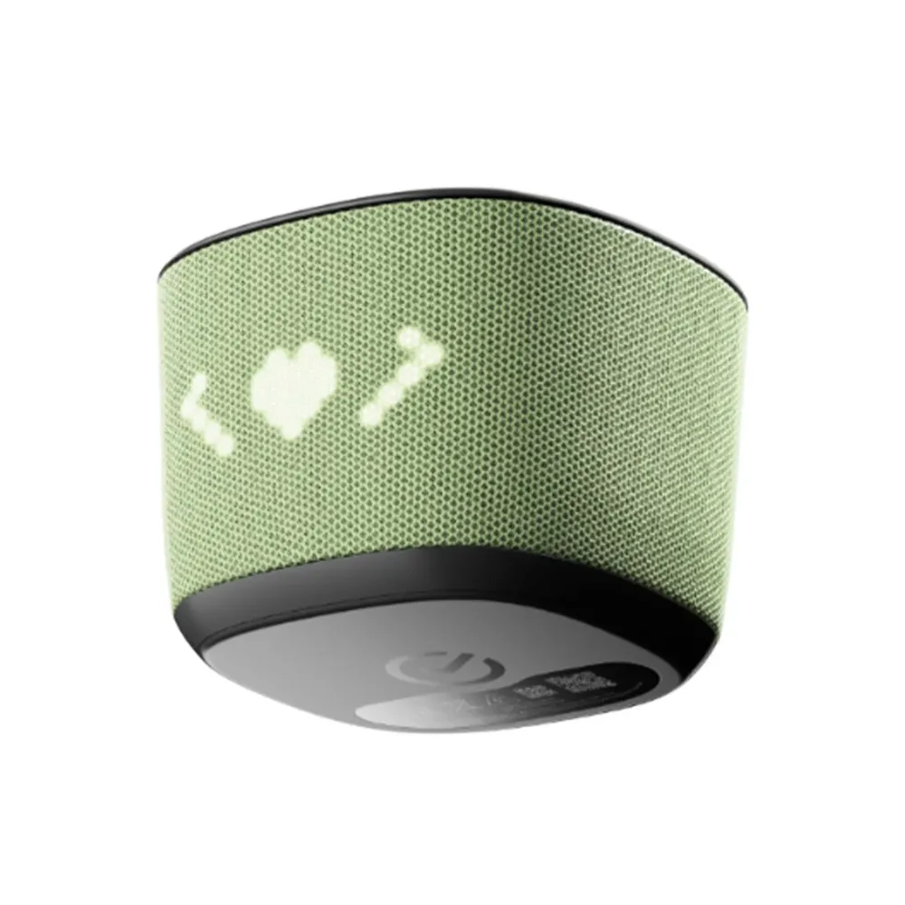 SberDevices SberBoom Home Pistachio