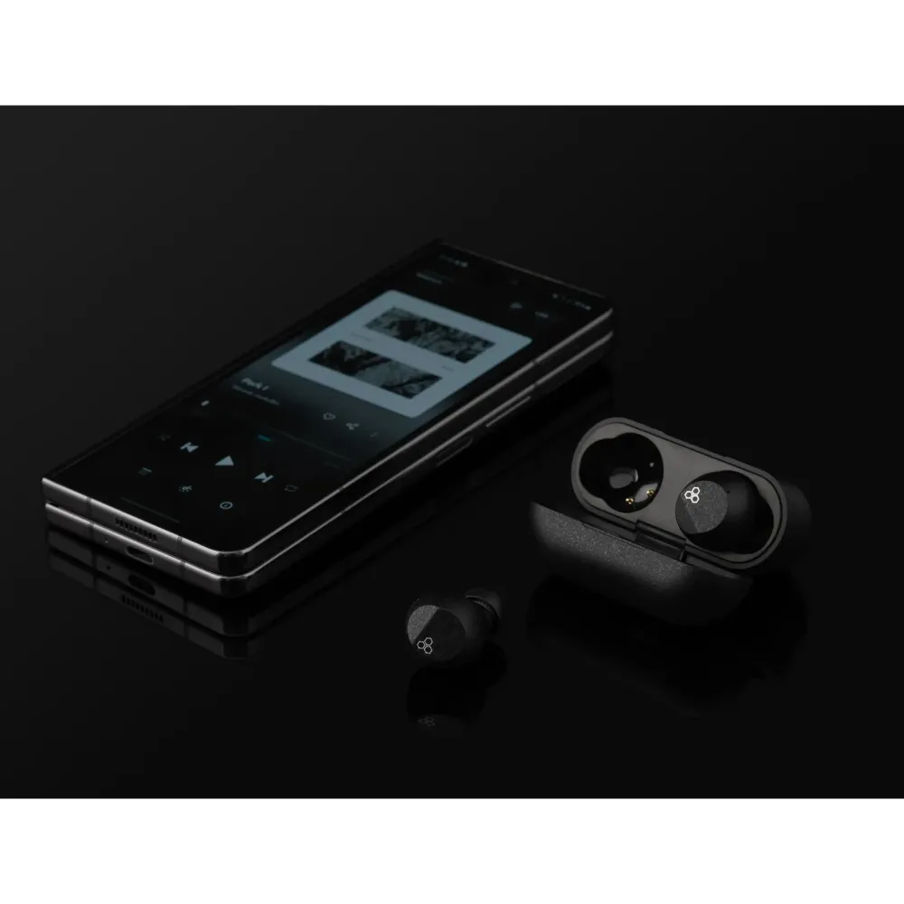 Final Audio ZE3000 SV Black