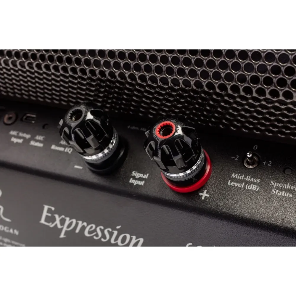 Martin Logan Expression ESL 13A Russo Fuoco