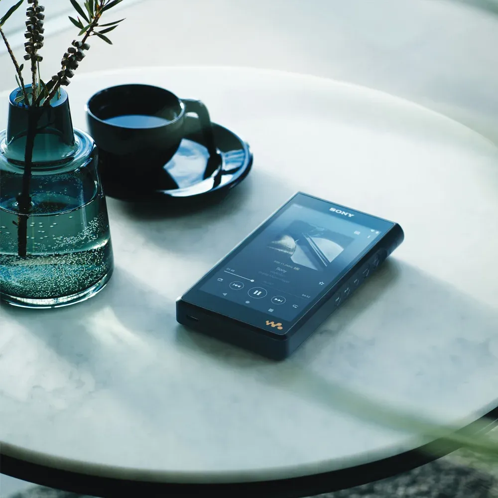 Sony NW-WM1AM2 Black