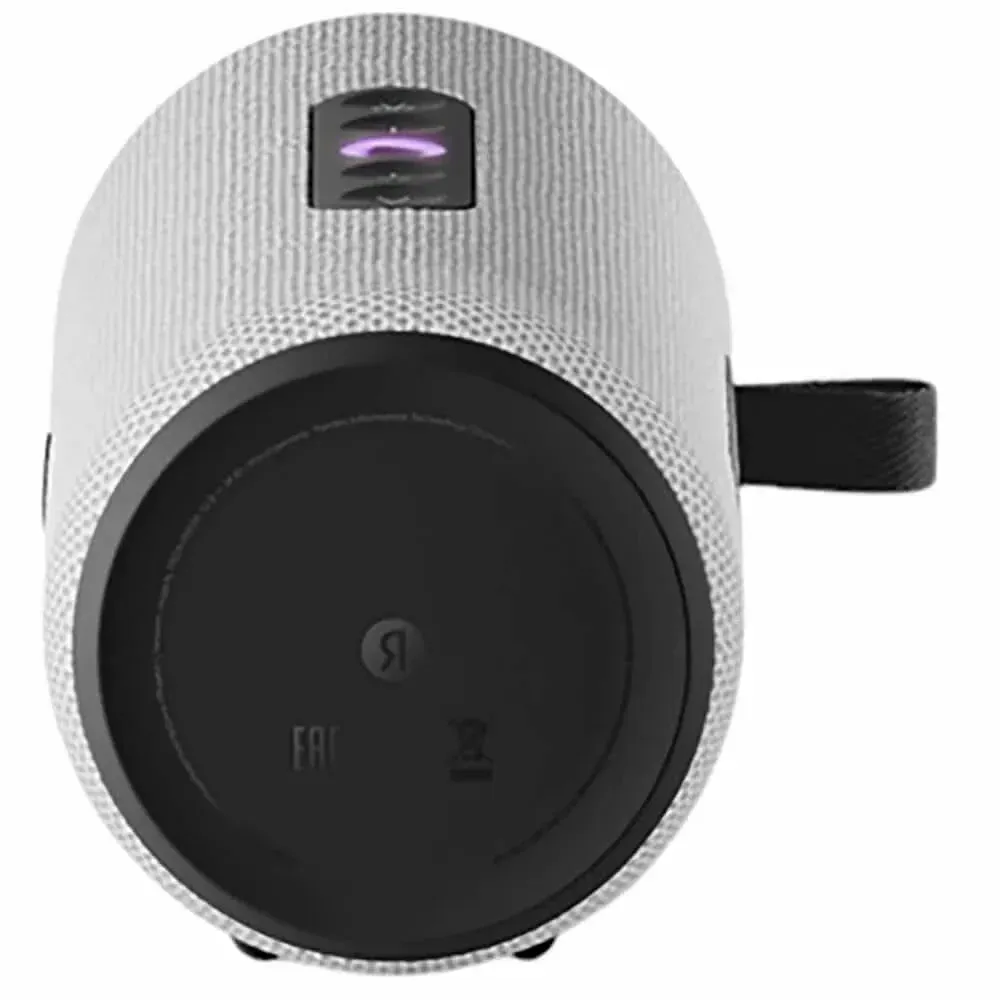 Яндекс Станция Стрит Grey