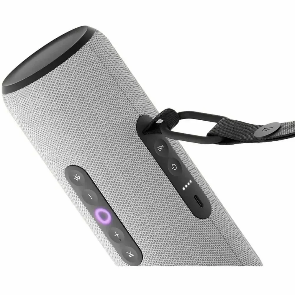 Яндекс Станция Стрит Grey