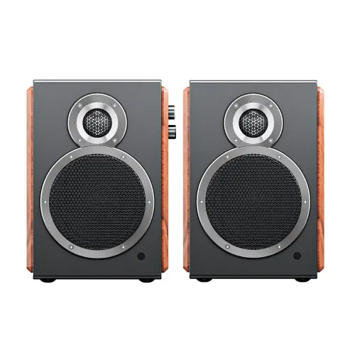 FiiO SA1 Twilight Black