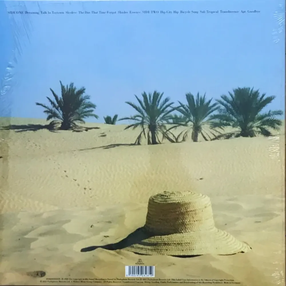 Poly Styrene – Translucence LP