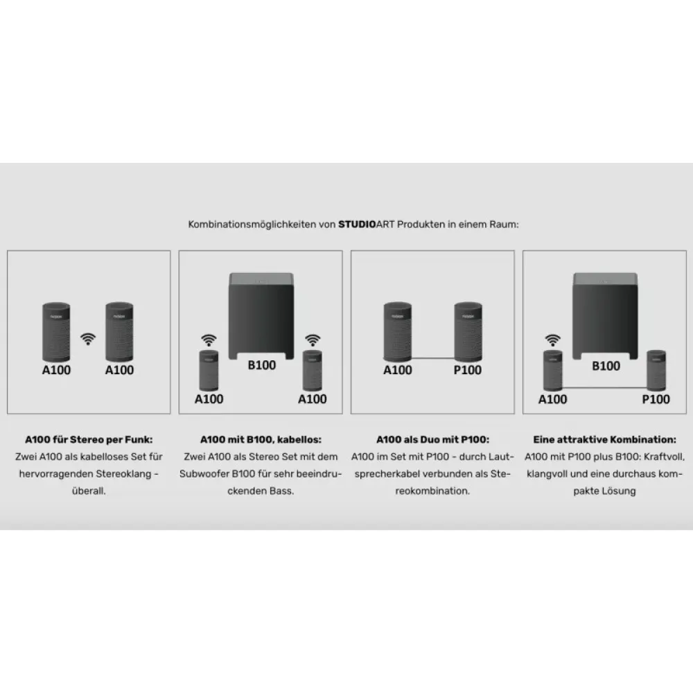 Revox B100 Bass Module White