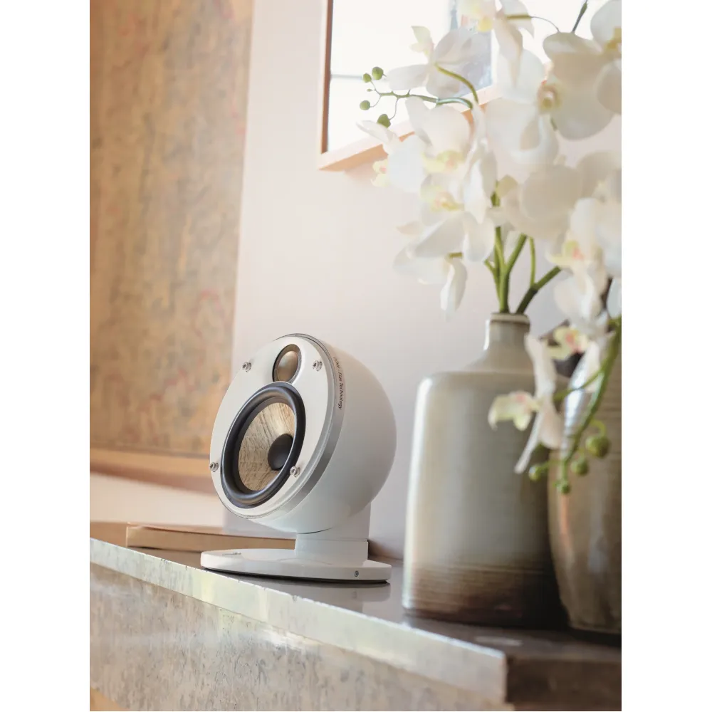 Focal DOME SAT 1.0 Black