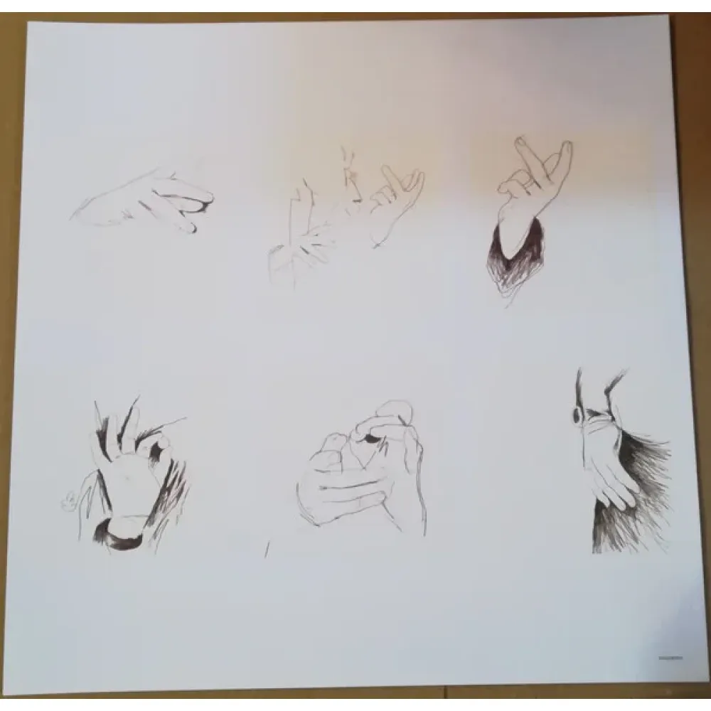 Paul McCartney - Chaos And Creation In The Backyard