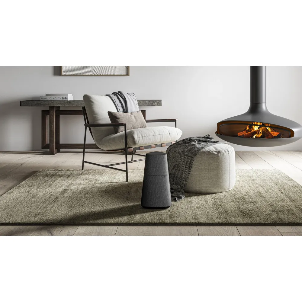 Loewe klang mr5 Basalt Grey