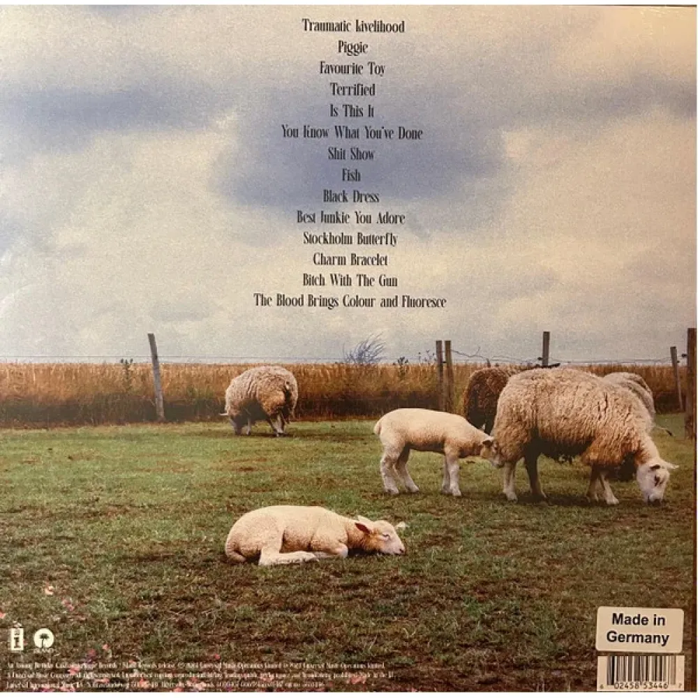 Jazmin Bean – Traumatic Livelihood (Transparent) LP