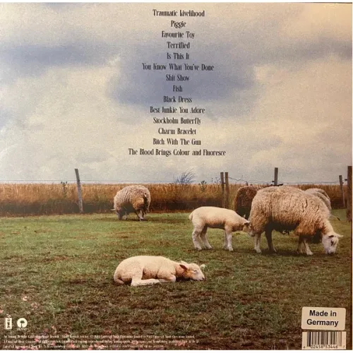 Jazmin Bean – Traumatic Livelihood (Transparent) LP