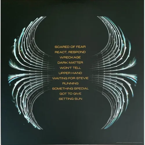 Pearl Jam - Dark Matter - LP