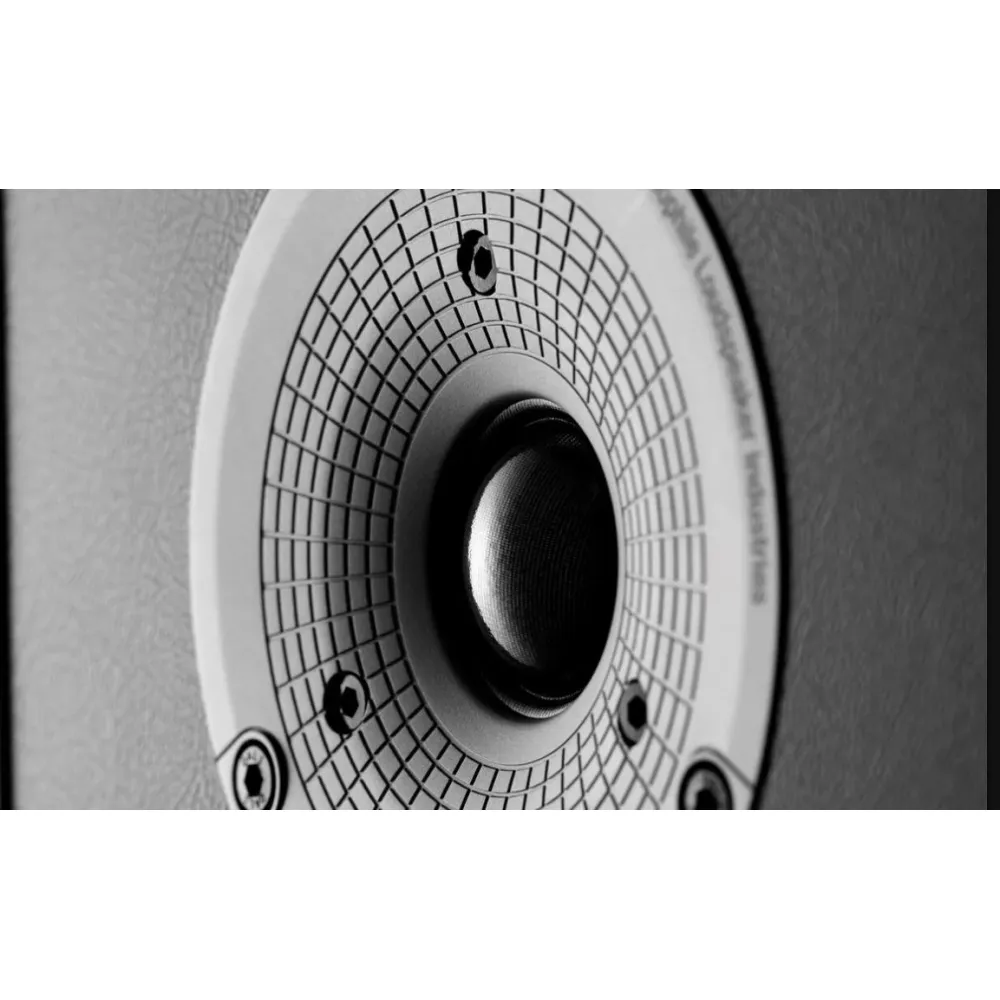 Dali Spektor 1 Black