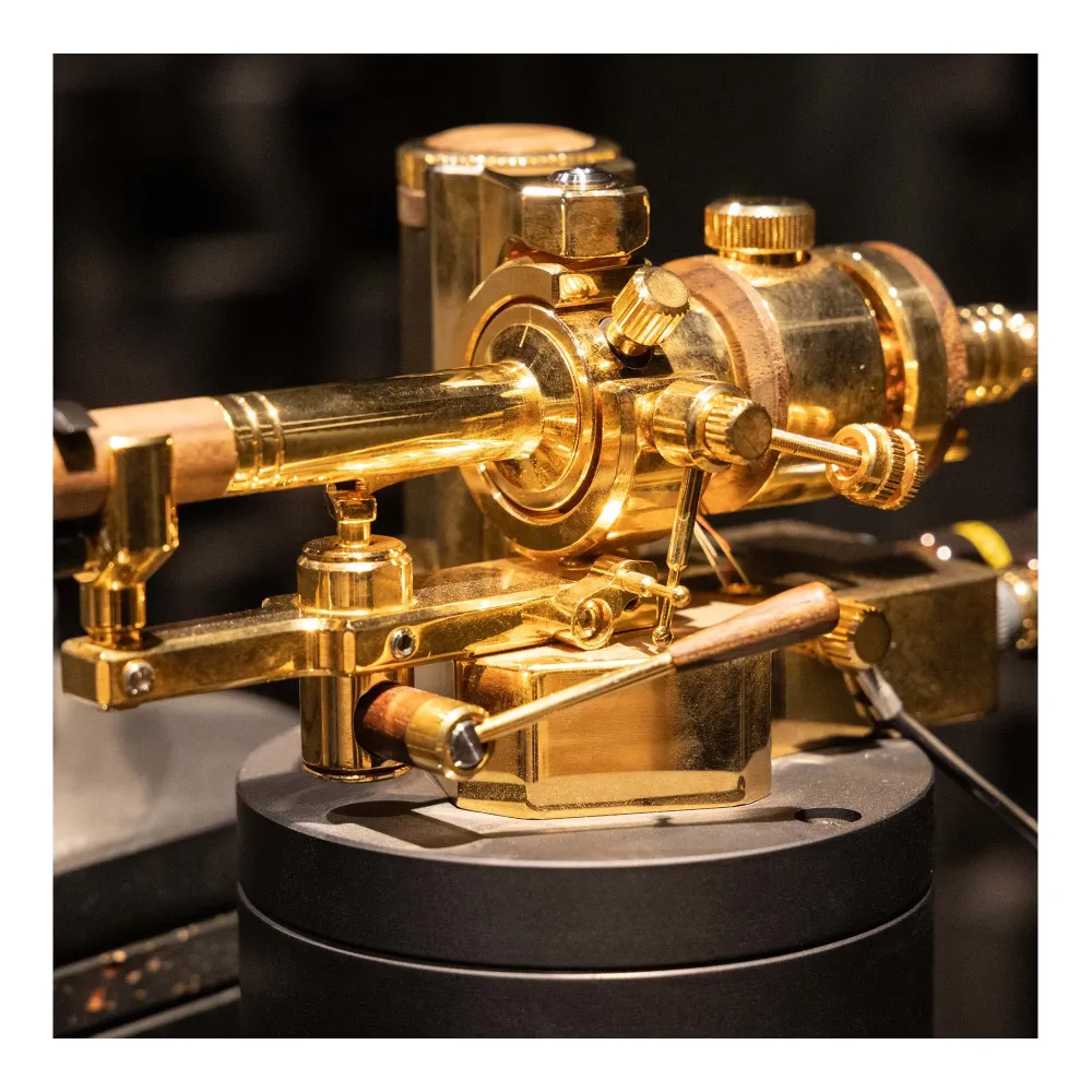 Auris Bayadere 5 Black Hawk 24k Gold Tonearm Black/Gold