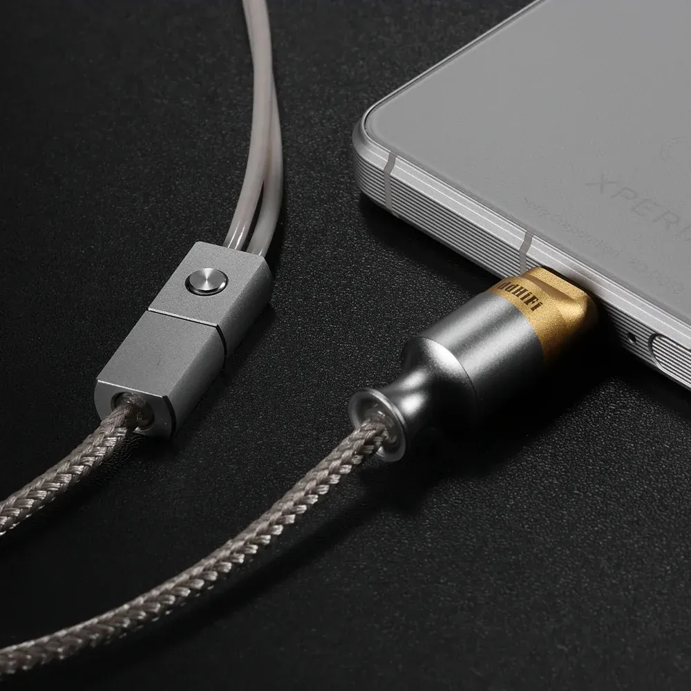 ddHiFi M110C 2-pin - USB-C Silver