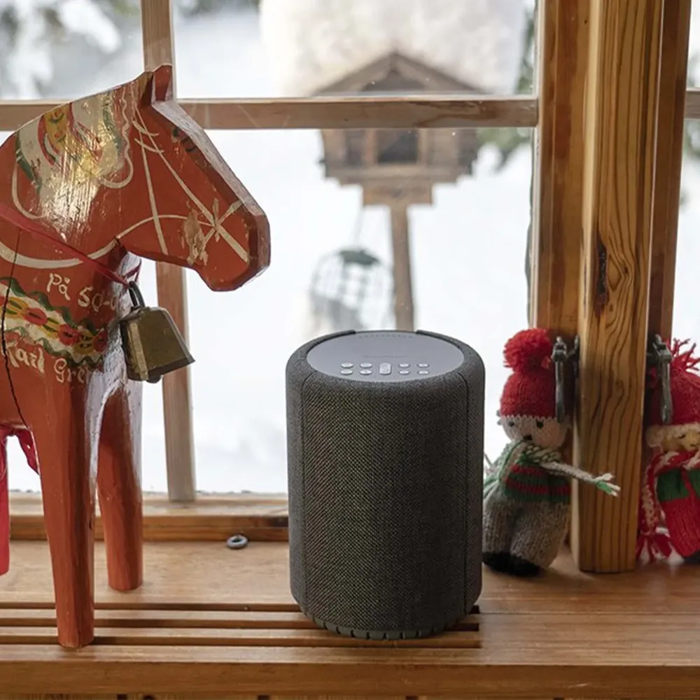 Audio Pro A10 MKII Dark Grey