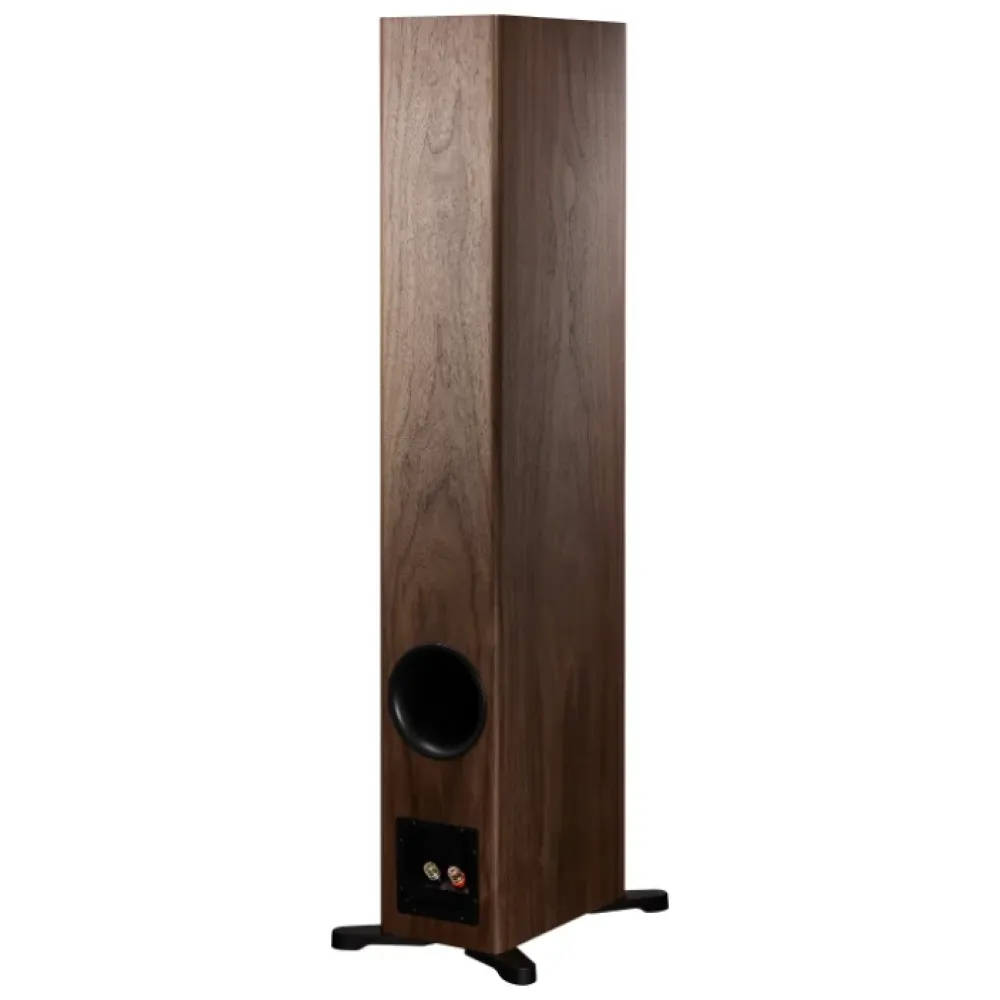 Dynaudio Evoke 50 Walnut Wood