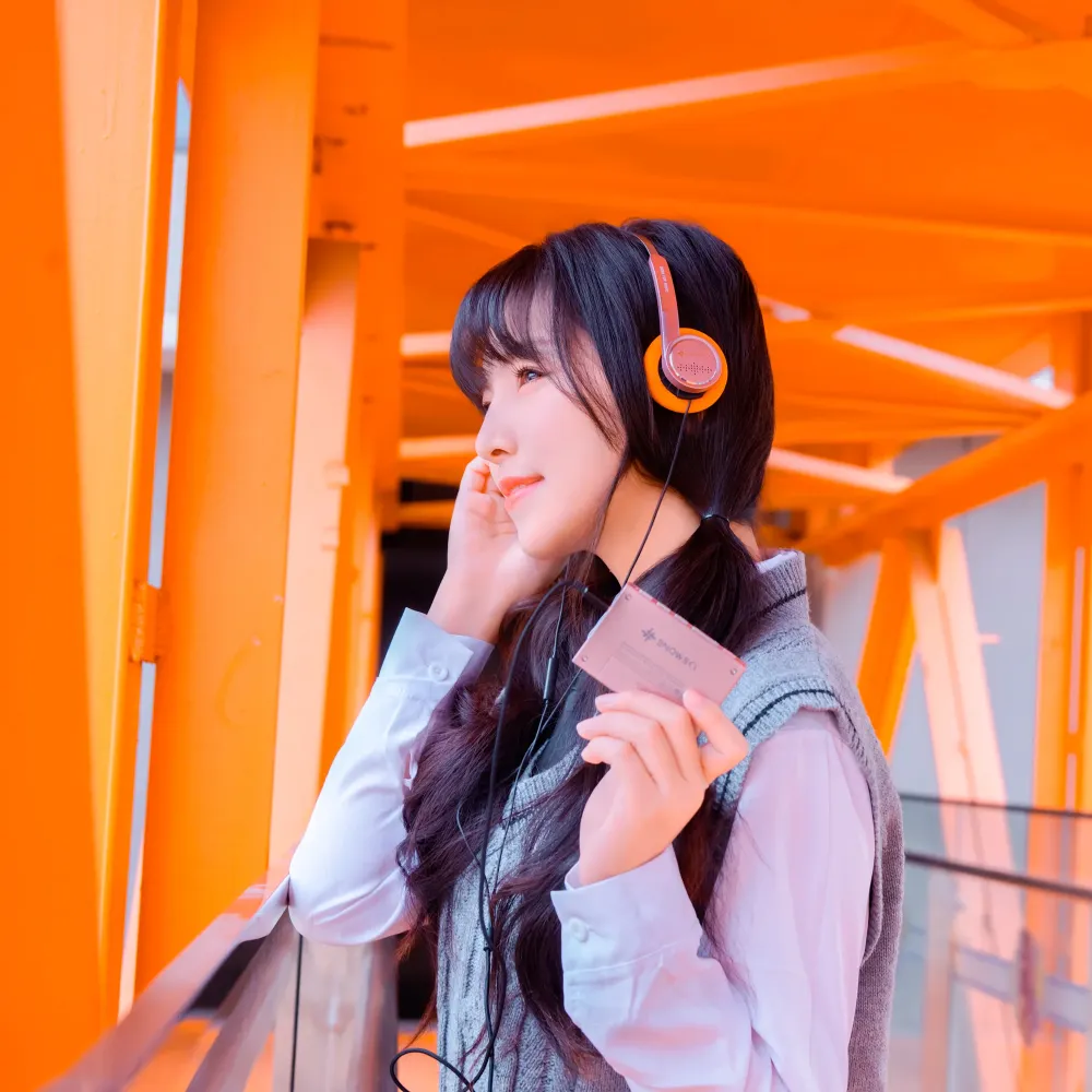 FiiO SnowSky Wind Black