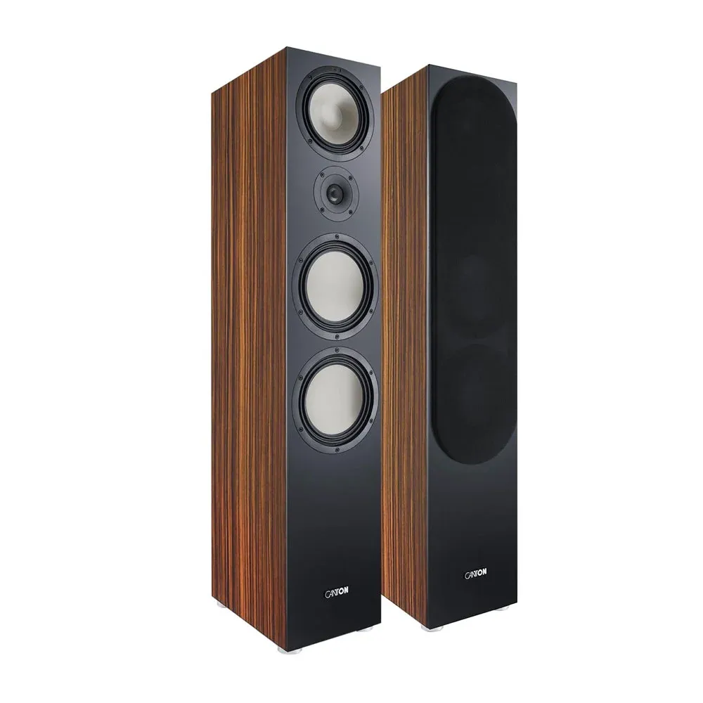 Canton Smart Cinema GLE I Macassar