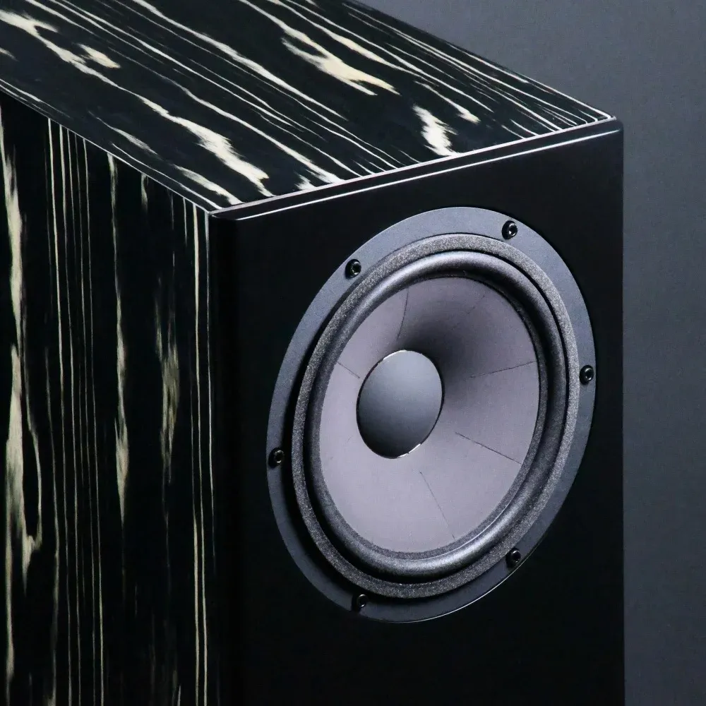 Davis Acoustics MV One Master Ebony