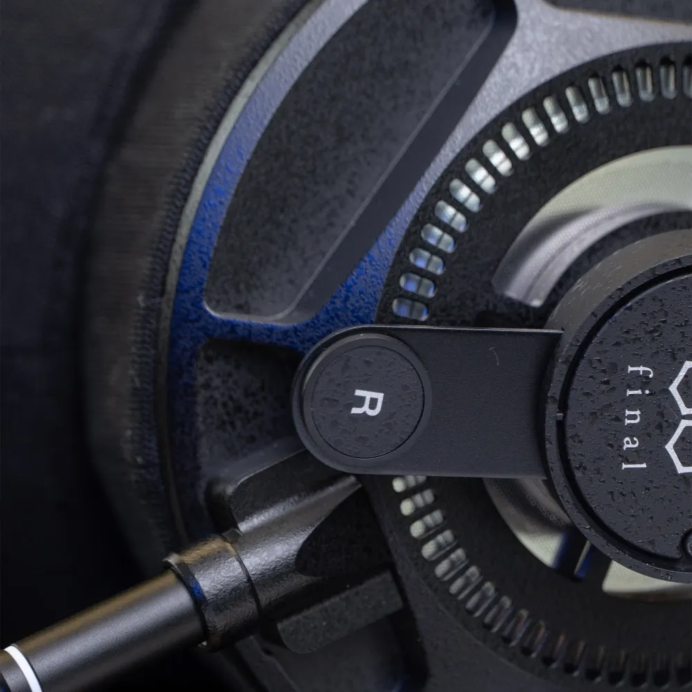 Final Audio D8000 DC Black