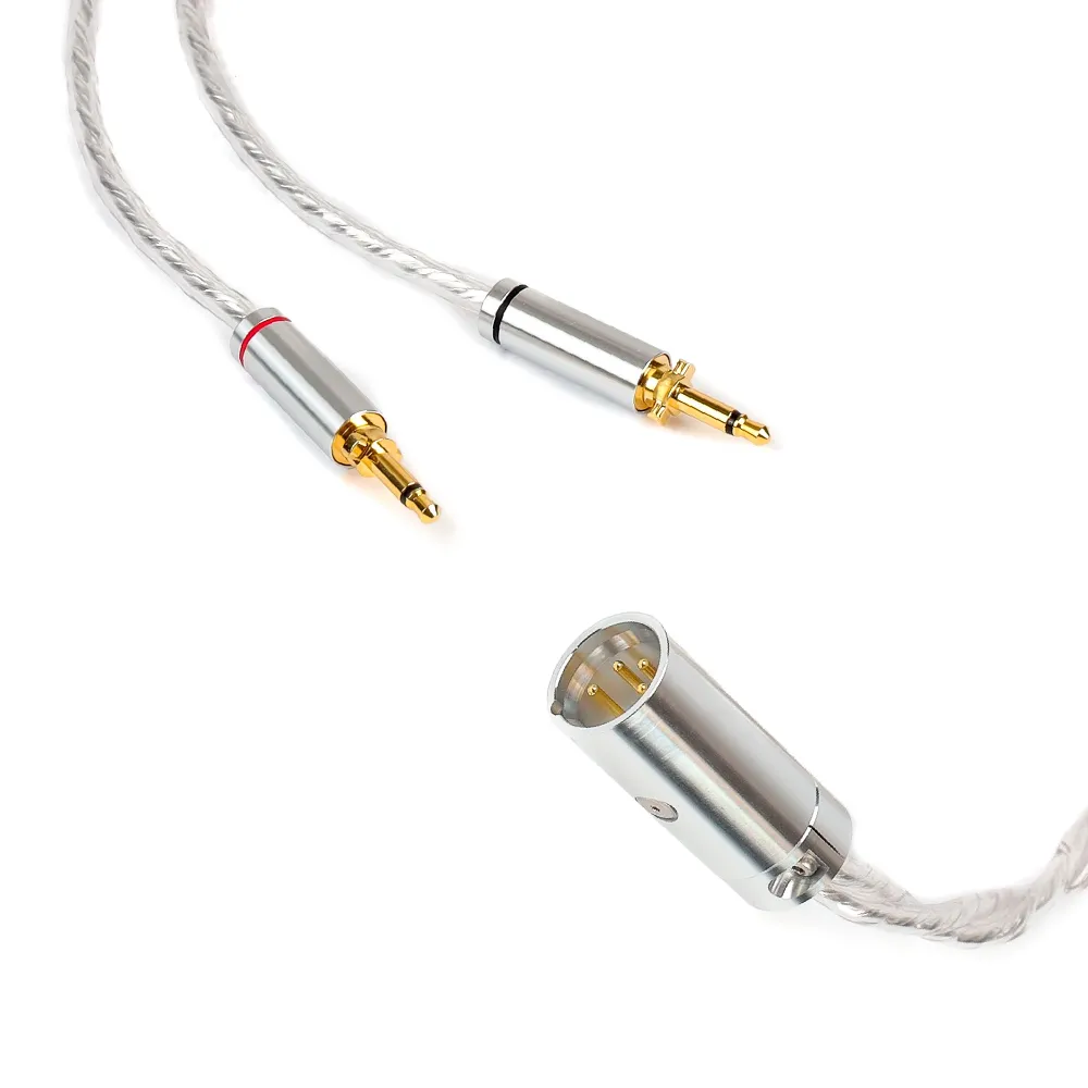 Final Audio D8000 DC Pro Edition Silver