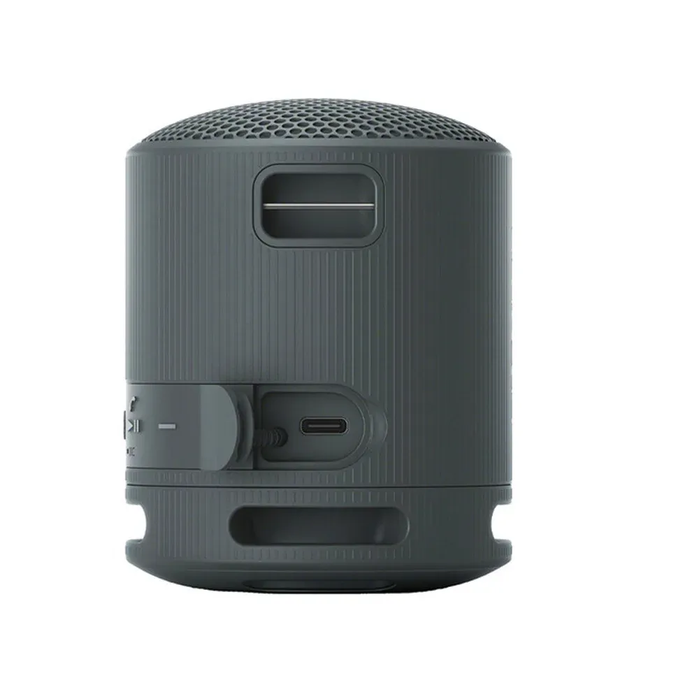 Sony SRS-XB100 Black