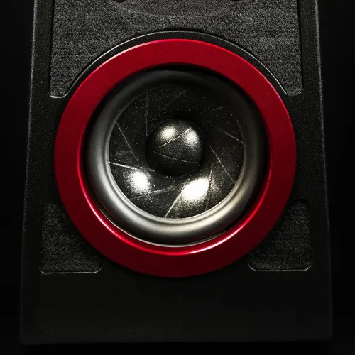 Wilson Audio Tune Tot Carbon