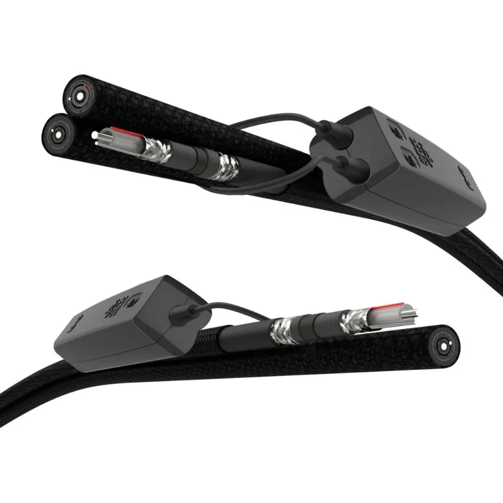 AudioQuest Dragon RCA-RCA 2 m