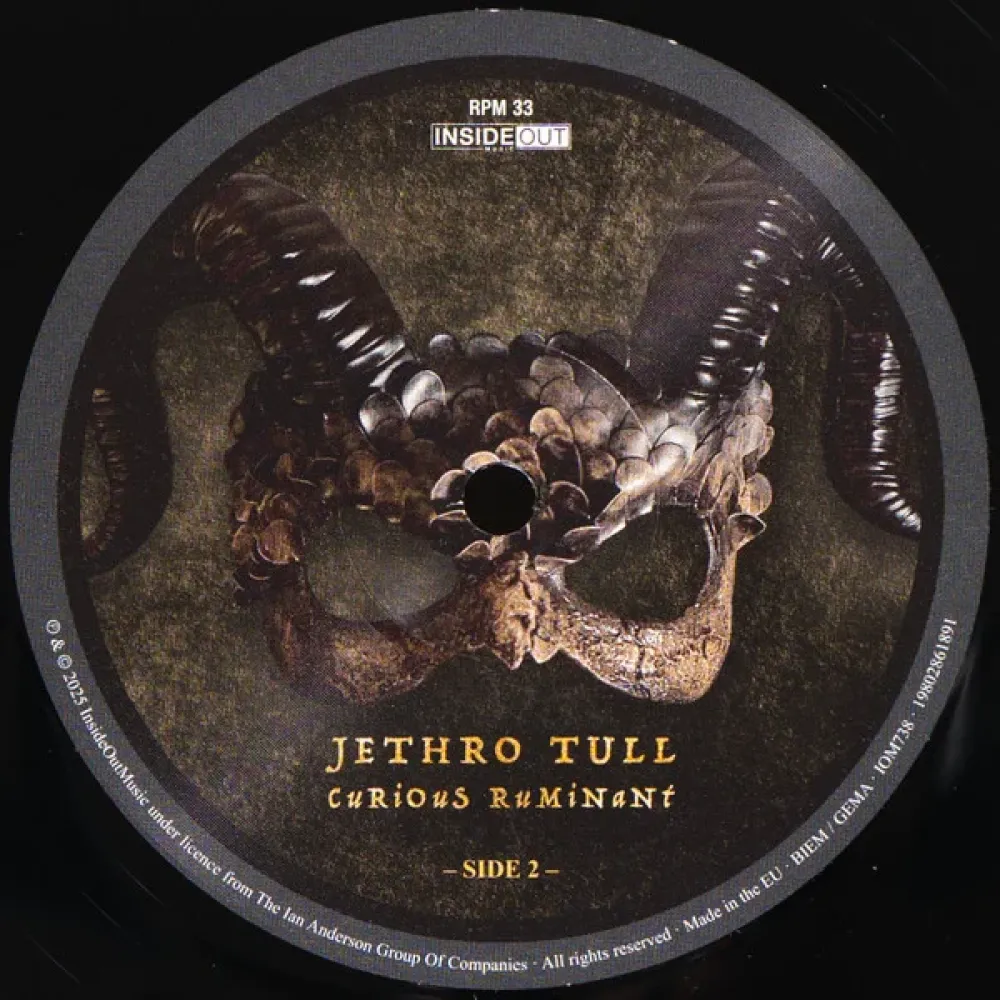Jethro Tull - Curious Ruminant LP