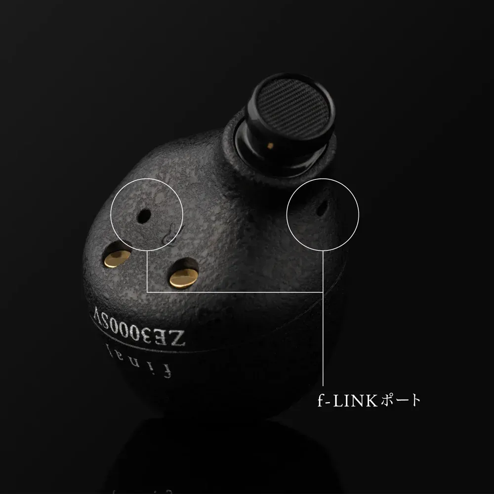 Final Audio ZE3000 SV Black