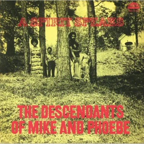 The Descendants Of Mike And Phoebe - A Spirit Speaks - (Pure Pleasure) LP