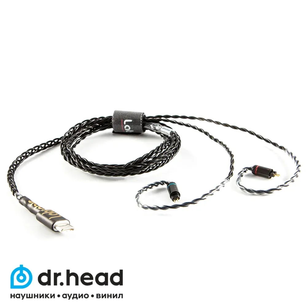 Labkable Silver Black 2pin - USB-C