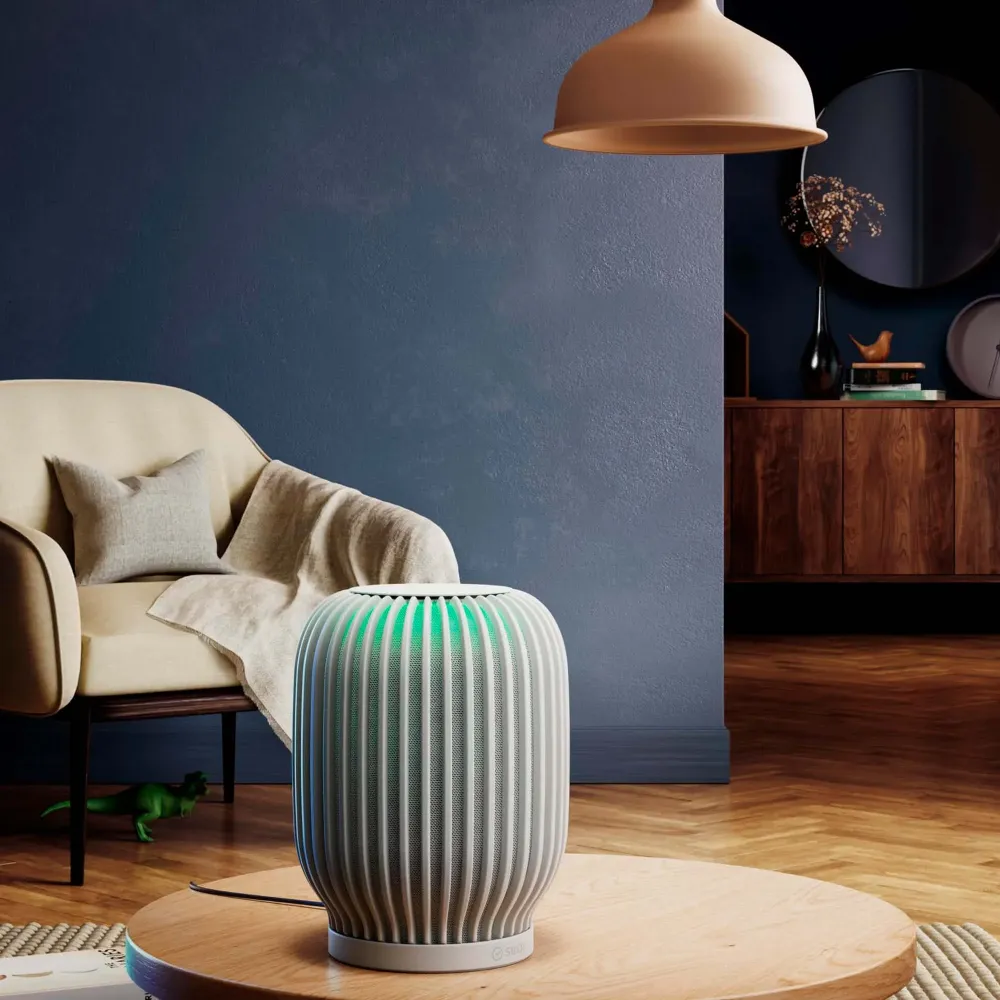 SberDevices SberBoom Light Grey