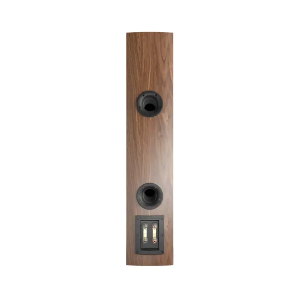 Dali Rubicon 6 Natural Walnut