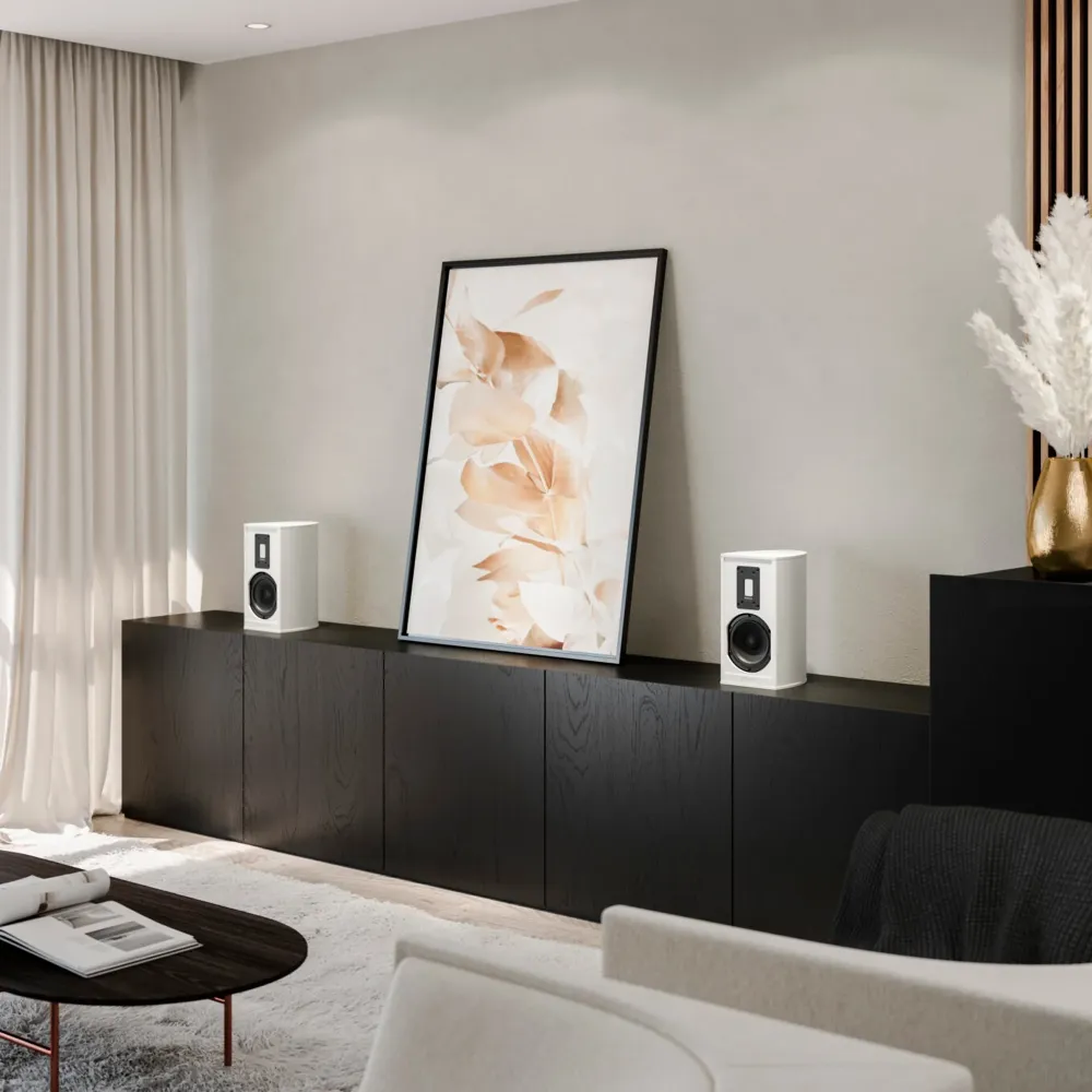 Piega Premium 301 Wireless Black