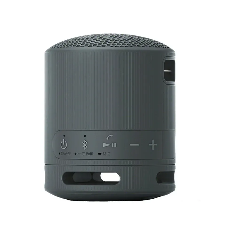 Sony SRS-XB100 Black